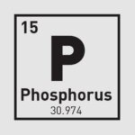 Phosphor_